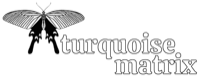 Turquoisematrix